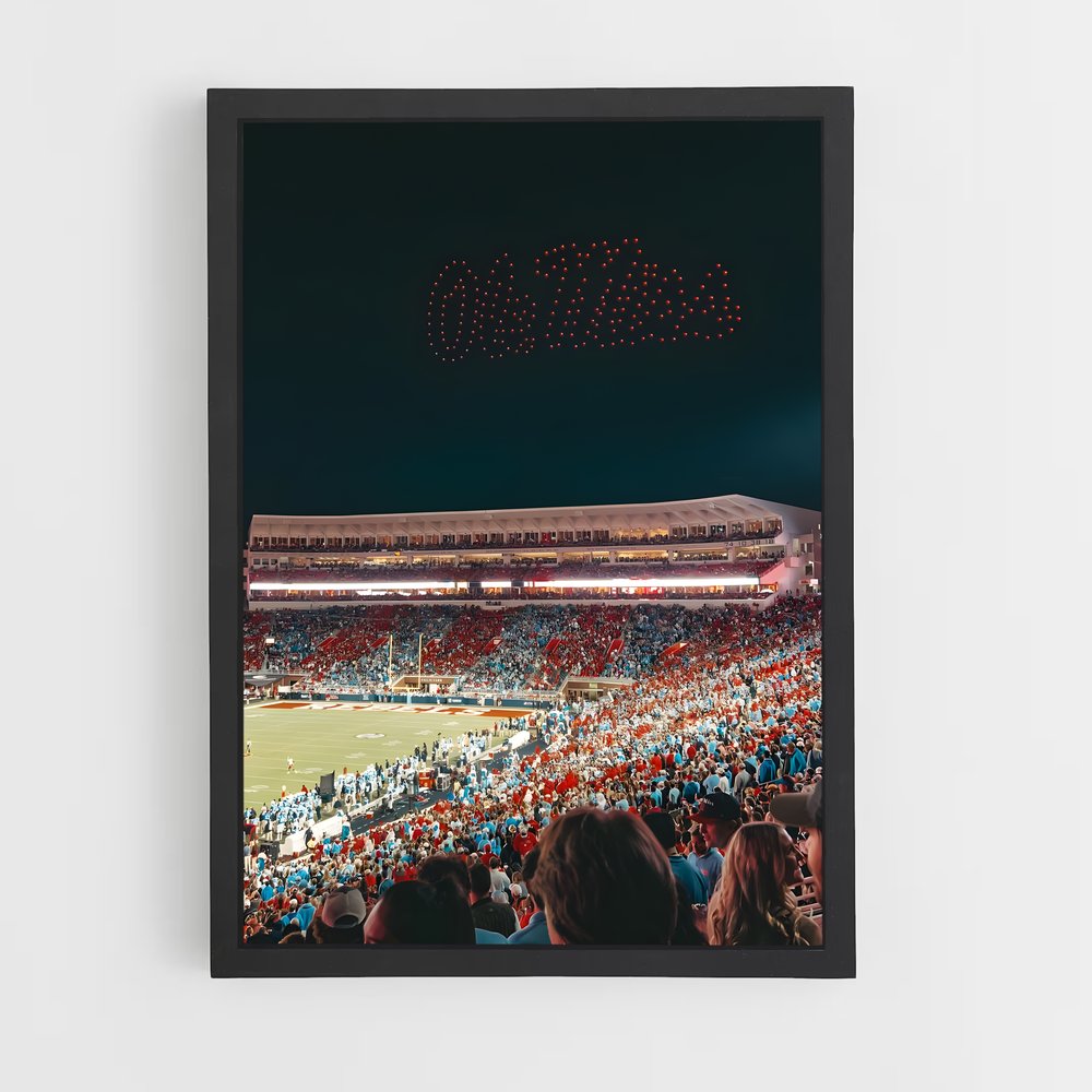 Poster Nuit des Rebels – affiche Baseball (vue 2)